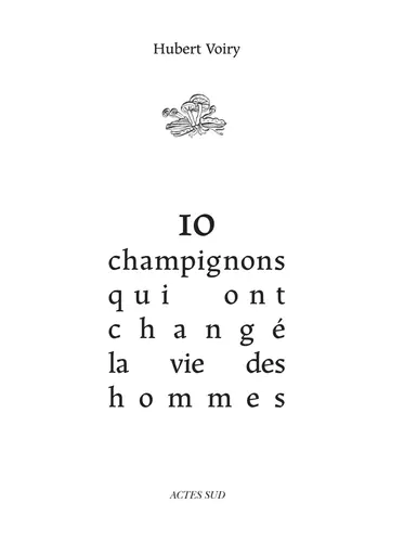 10-champignons-qui-ont-change-la-vie-des-hommes.webp
